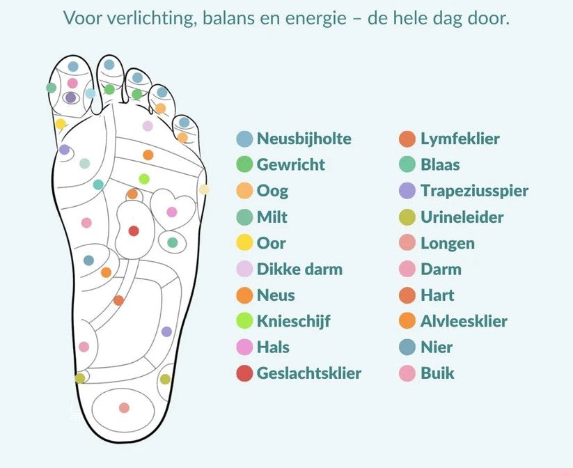 ASCEND™ - Inlegzolen