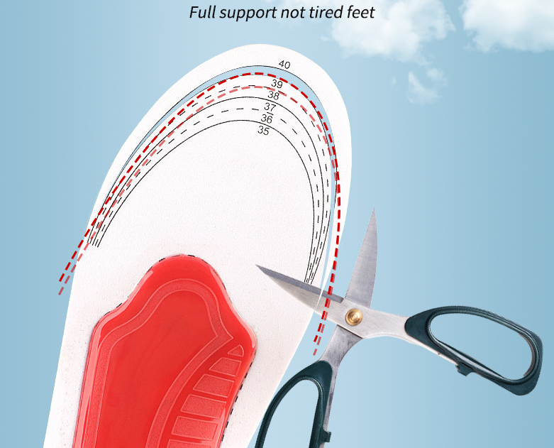 ASCEND™ - Inlegzolen