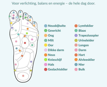 ASCEND™ - Inlegzolen