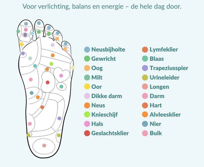 ASCEND™ - Inlegzolen